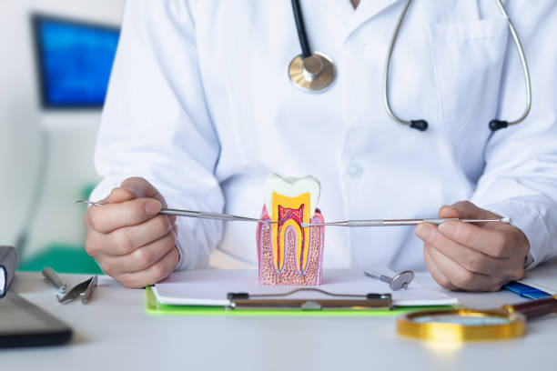 Best Pediatric Emergency Dentist in Big Bear City, CA